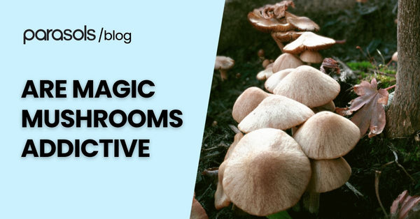 Are Magic Mushrooms Addictive? Here are 5 Points for Safety