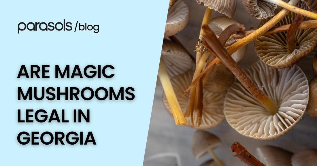 are magic mushrooms legal in Georgia