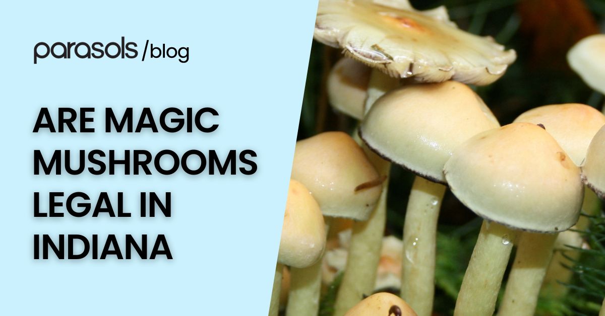 are magic mushrooms legal in Indiana featured image