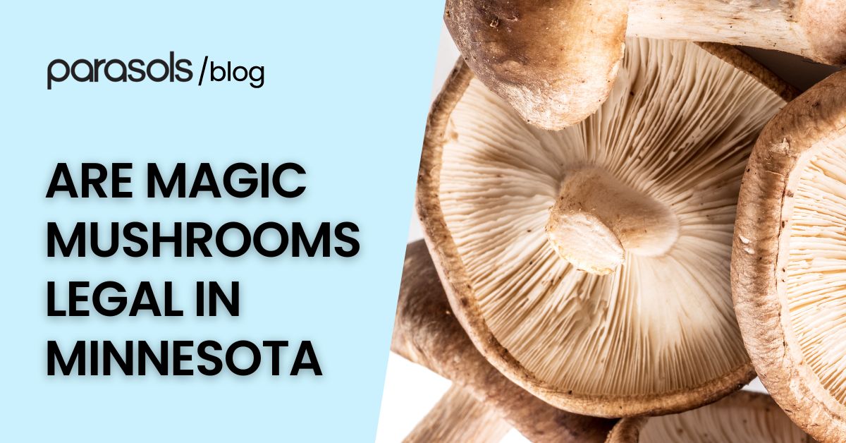 are magic mushrooms legal in Minnesota featured image