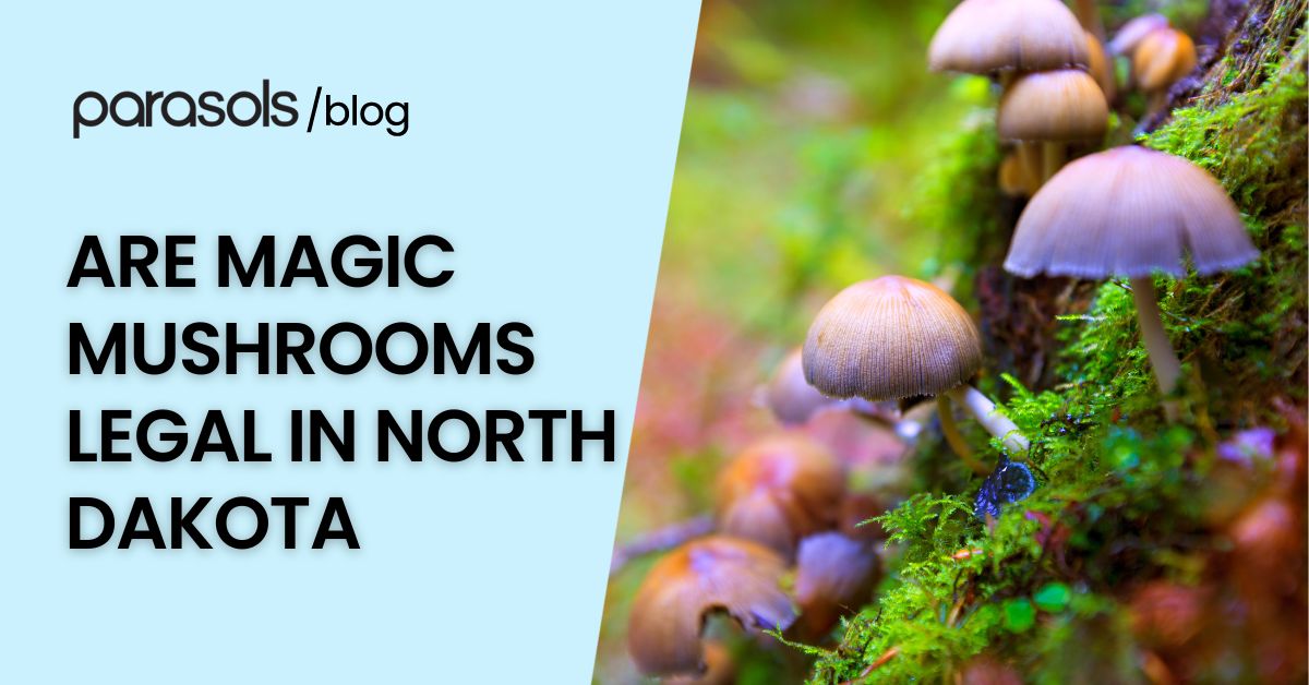 are magic mushrooms legal in North Dakota featured image
