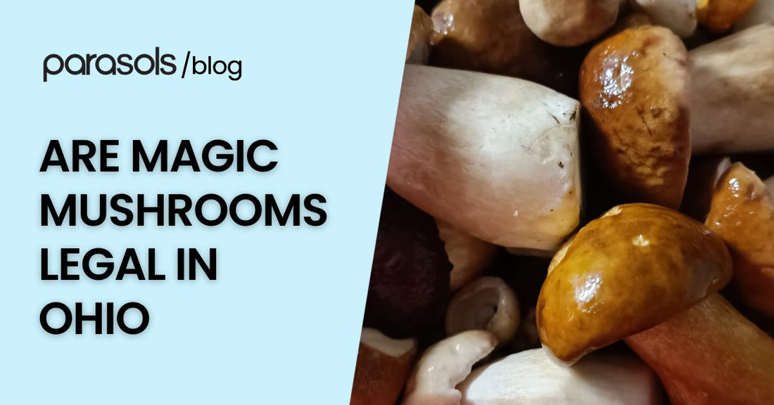 are magic mushrooms legal in Ohio featured image