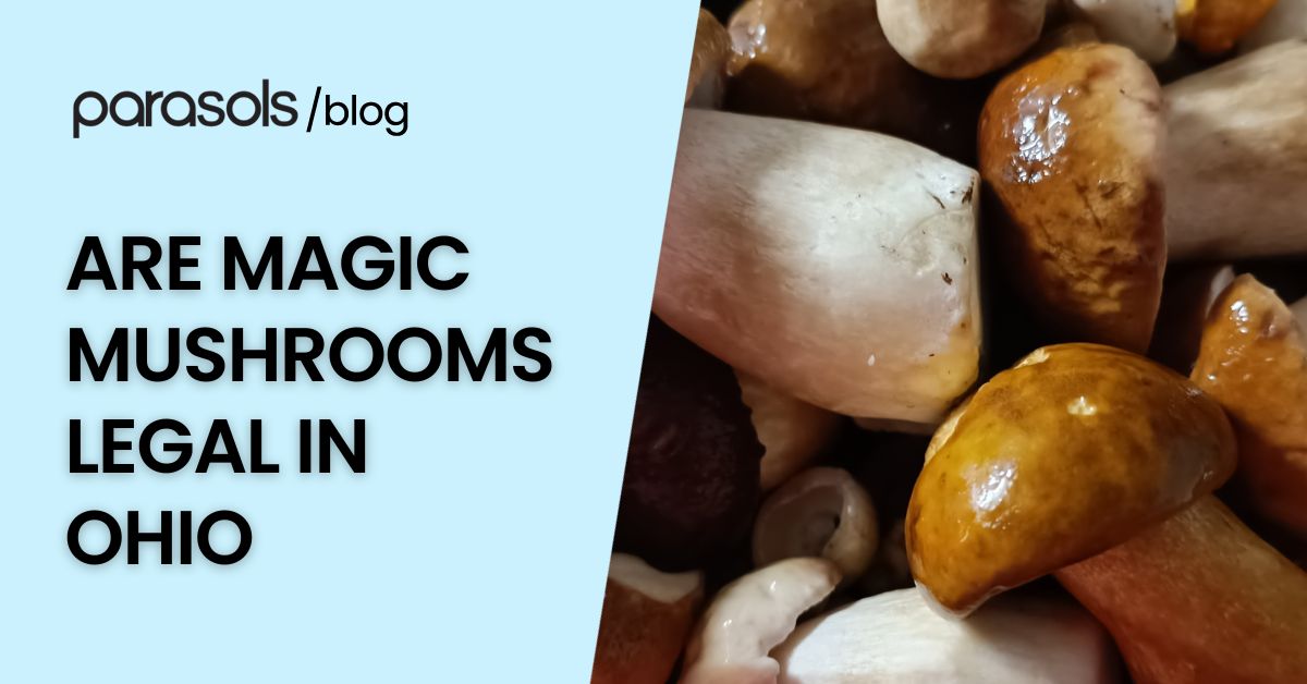 are magic mushrooms legal in Ohio featured image