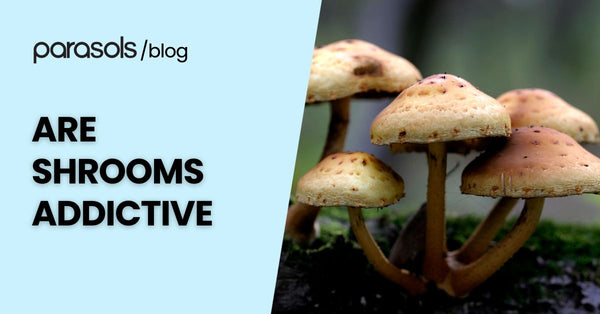 Are Shrooms Addictive? Here’s Everything You Should Know