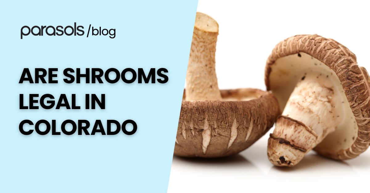 Image showing mushrooms beside the title text “Are Shrooms Legal in Colorado,” representing an article discussing psilocybin laws, regulations, and legalization updates in Colorado.