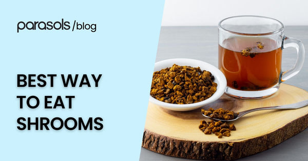What is the Best Way to Eat Shrooms? Here are 7 Favorites