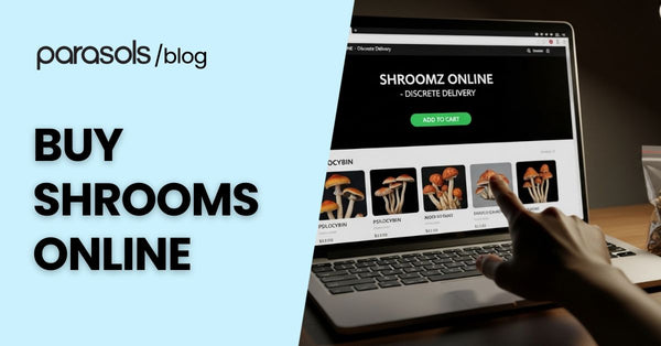 Where to Buy Shrooms Online: 6 Things to Look for in Sellers