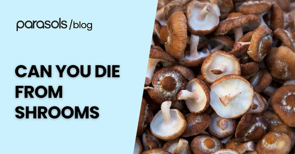 Can You Die from Shrooms? 6 Tips for Safe Consumption