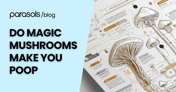 Do Magic Mushrooms Make You Poop? Here are 6 Tips to Note