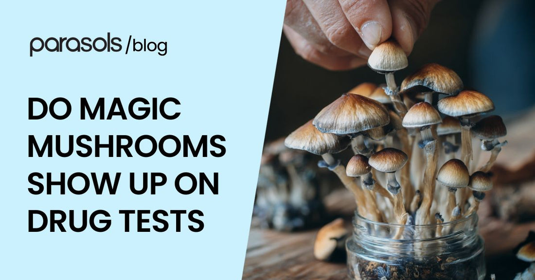 do magic mushrooms show up on drug tests featured image