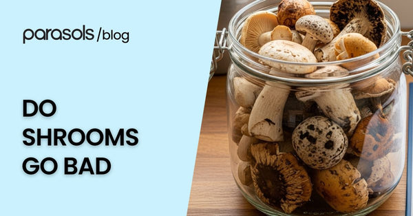 Do Shrooms Go Bad? How to Store Magic Mushrooms Safely