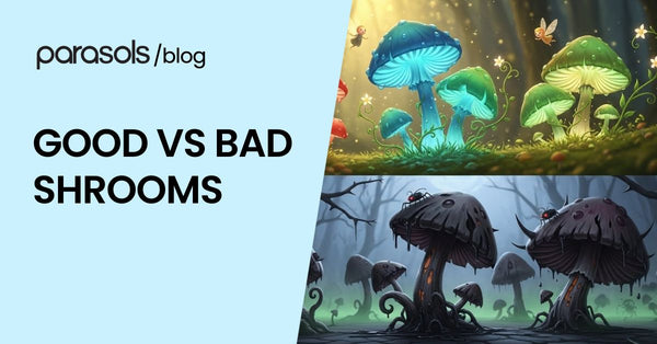 Good Vs Bad Shrooms: 9 Tips to Check for Edible Magic Mushrooms