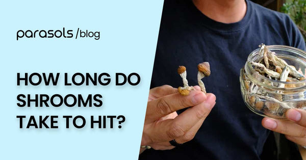 How Long Do Shrooms Take To Hit? - Your Simple Shroom Guide