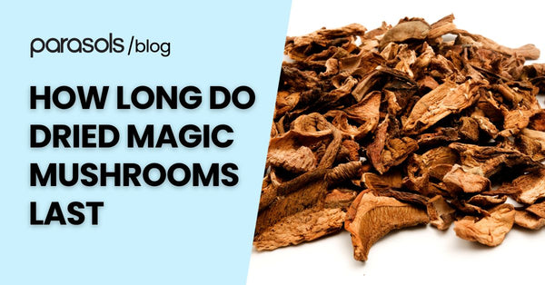 How Long Do Dried Magic Mushrooms Last? 5 Tips to Preserve