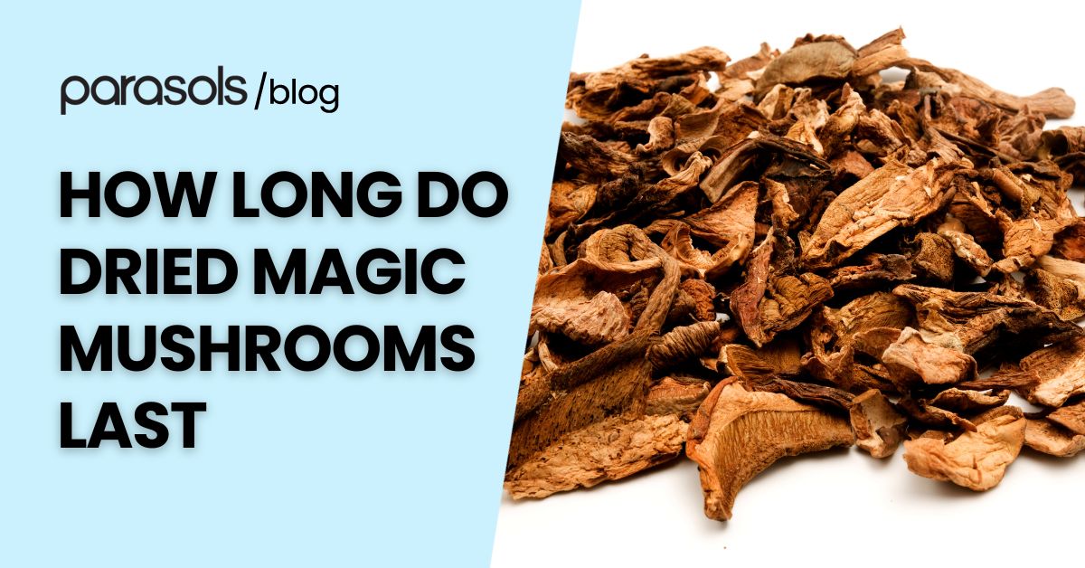 how long do dried magic mushrooms last featured image