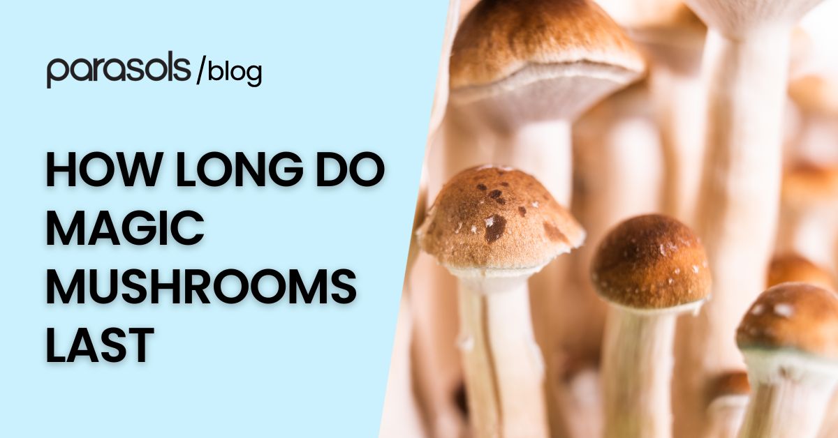 Featured blog image with text how long do magic mushrooms last beside close-up of psilocybin mushrooms.
