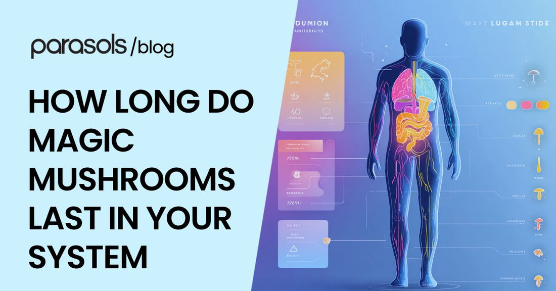 how long do magic mushrooms last in your system featured image