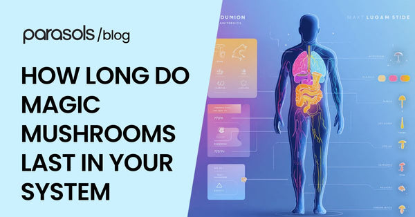 How Long Do Magic Mushrooms Last in Your System? Novice Guide