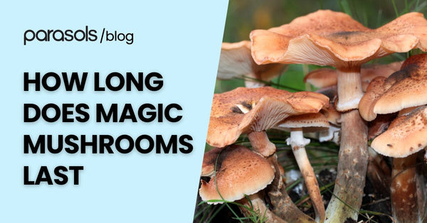 How Long Does Magic Mushrooms Last? 5 Preservation Tips