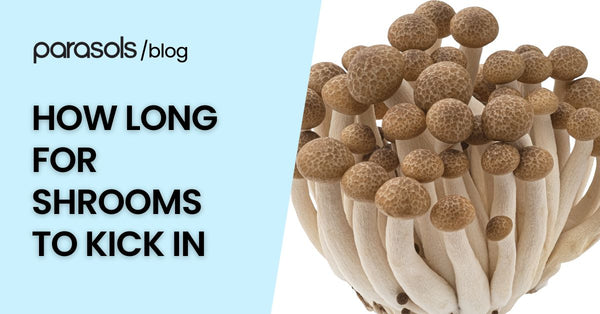 How Long for Shrooms to Kick In: 5 Factors for Onset Time