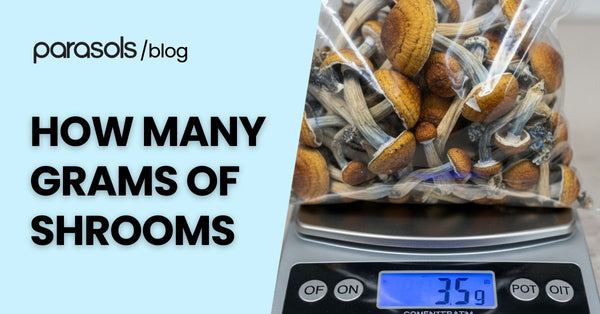 How Many Grams of Shrooms Can You Take? 5 Consumption Tips