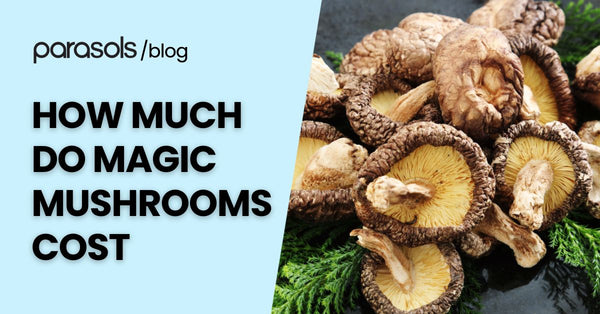 How Much Do Magic Mushrooms Cost? 6 Pricing Factors