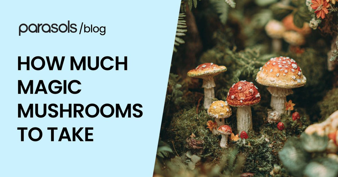 how much magic mushrooms to take featured image