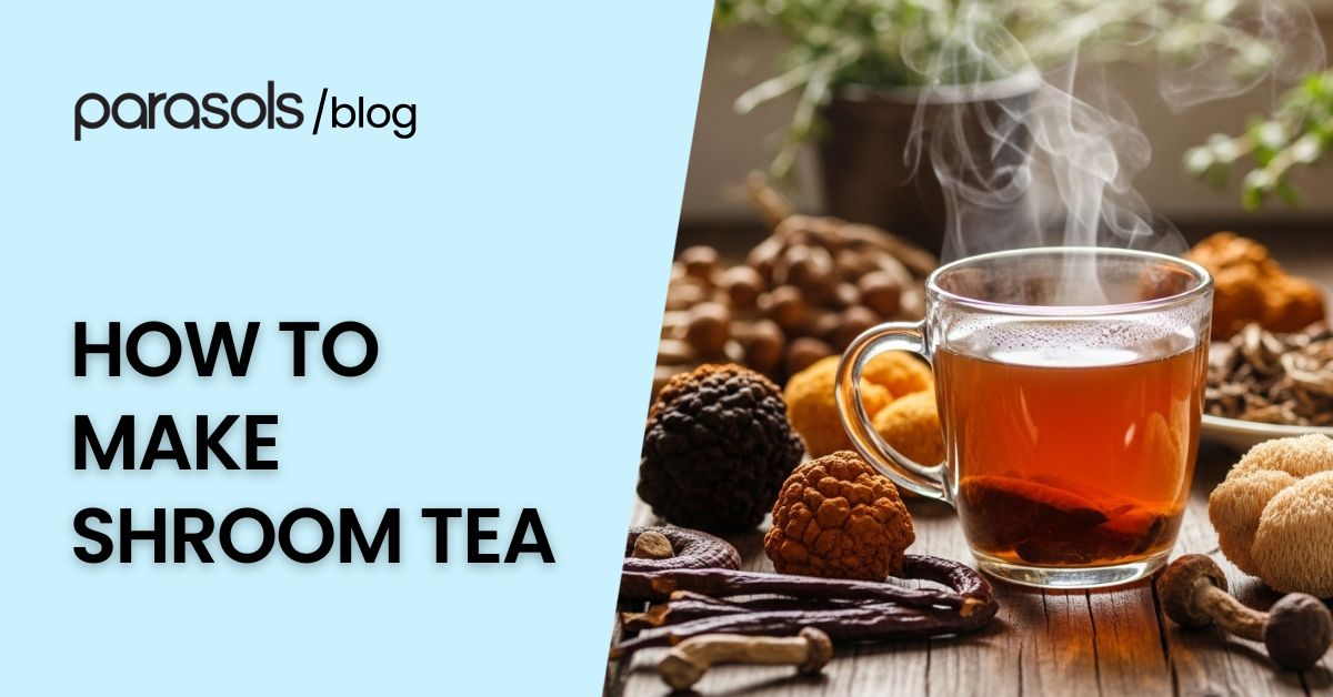 how to make shroom tea featured image