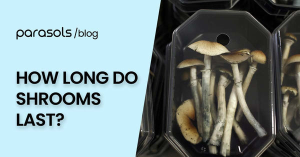 How Long Do Shrooms Last? A Guide to Understanding Magic Mushroom Effects