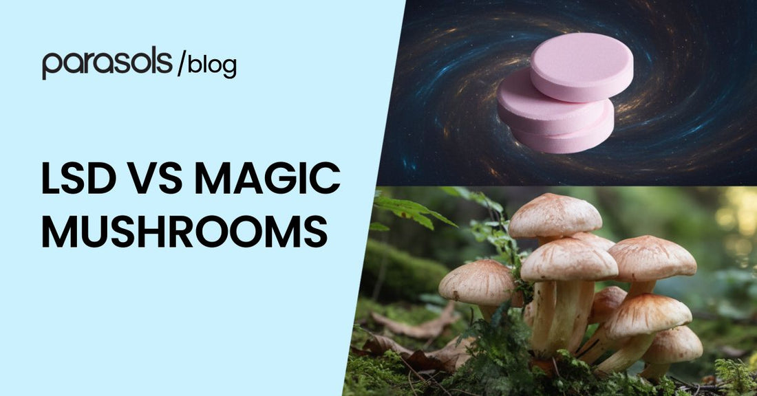 lsd vs magic mushrooms featured image