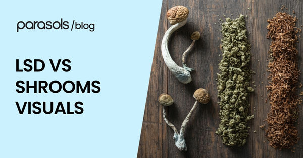 LSD Vs Shrooms Visuals: Here’s What to Expect