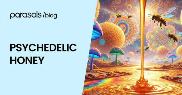 Psychedelic Honey: 7 Best Ways to Use This Amazing Treat