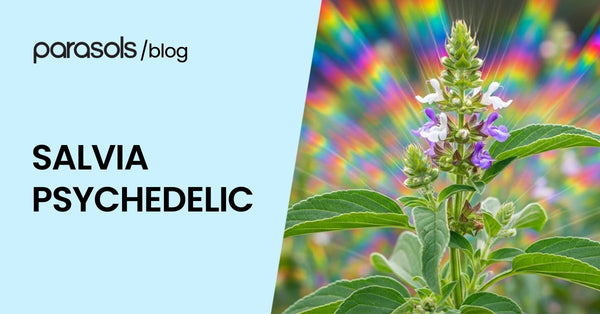 Is Salvia Psychedelic? 6 Things That Set It Apart from Shrooms