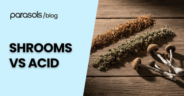 Shrooms Vs Acid: 5 Reasons to Choose Shrooms Instead