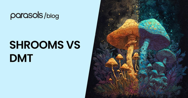Shrooms Vs DMT: 6 Considerations When Choosing for Therapy
