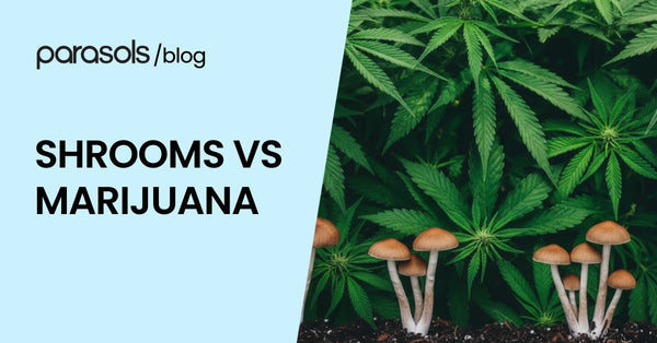 Shrooms Vs Marijuana: 6 Key Differentiators