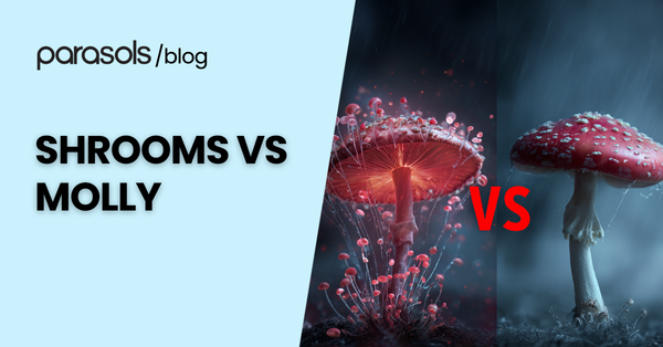Shrooms Vs Molly: 6 Factors to Consider When Choosing