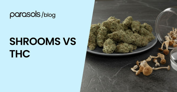 Shrooms Vs THC: 5 Factors to Consider When Choosing Products