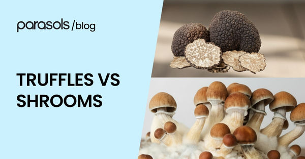 Truffles Vs Shrooms: 6 Points to Ponder When Choosing