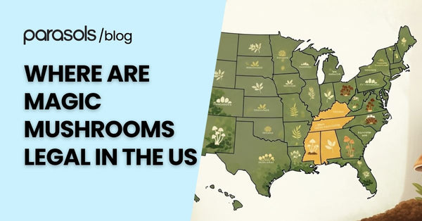 Where are Magic Mushrooms Legal in the US? 6 Locations to Note