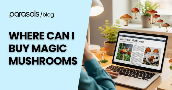 Where Can I Buy Magic Mushrooms? 6 Options and Alternatives