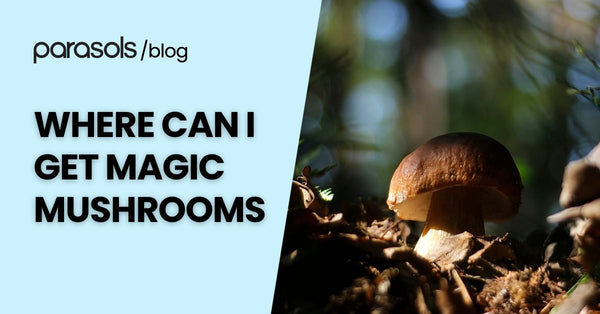 Where Can I Get Magic Mushrooms? 5 Common Sources