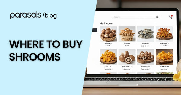 Where to Buy Shrooms? 4 Usual Places to Get Magic Mushrooms